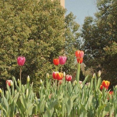 购彩中心手机app下载