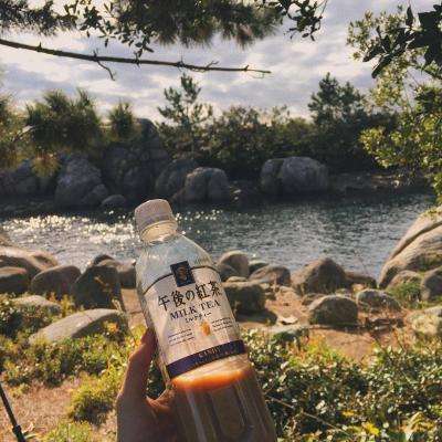 云平台app手机版下载